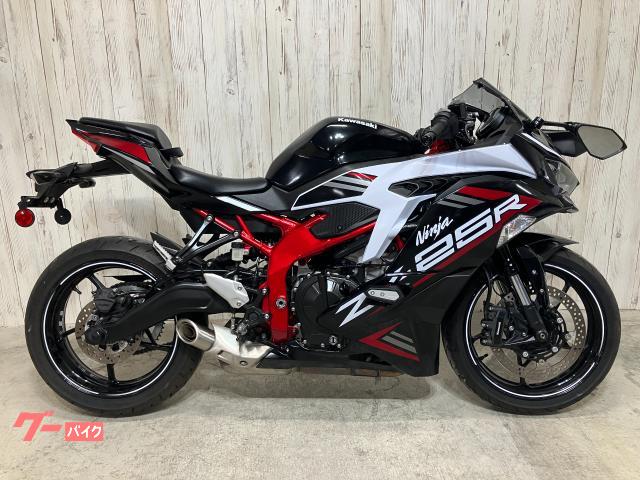 Ｎｉｎｊａ　ＺＸ－２５Ｒ　ＳＥ　クイックシフター＆スライダー標準装備