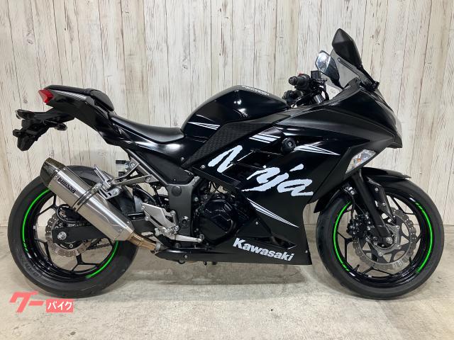 Ｎｉｎｊａ　２５０　ＡＢＳ　ＫＲＴ　Ｗｉｎｔｅｒ　Ｔｅｓｔ　Ｅｄｉｔｉｏｎ　ビームスマフラー　スライダー
