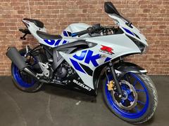 スズキ　ＧＳＸ−Ｒ１２５　バーエンド　リアフェンダーレスキット