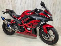 カワサキ　Ｎｉｎｊａ　２５０　ＡＢＳ　Ｓｐｅｃｉａｌ　Ｅｄｉｔｉｏｎ　ビームスマフラー　バンパー　リアフェンダーレスキット　ＵＳＢ電源レバー