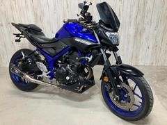 ヤマハ　ＭＴ−２５　ＲＧ４３Ｊ　ＥＴＣ　スクリーン　社外マフラー　エンジンスライダー　ヘルメットホルダー