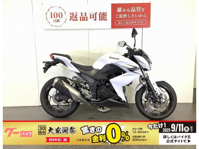 Ｚ２５０　ヘルメットホルダー装備　２０１３年式