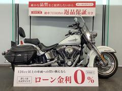 ＨＡＲＬＥＹ−ＤＡＶＩＤＳＯＮ　ＦＸＳＴＣ　ソフテイルカスタム　サイドバック／バックレスト／スクリーン