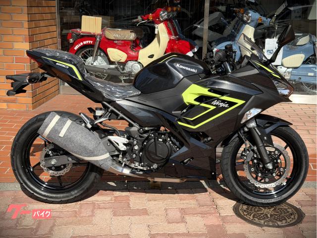 Ｎｉｎｊａ　２５０　　２６年式