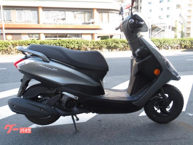 ＡＸＩＳ　Ｚ　２０２５　グレーメタリック