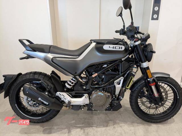 スヴァルトピレン４０１