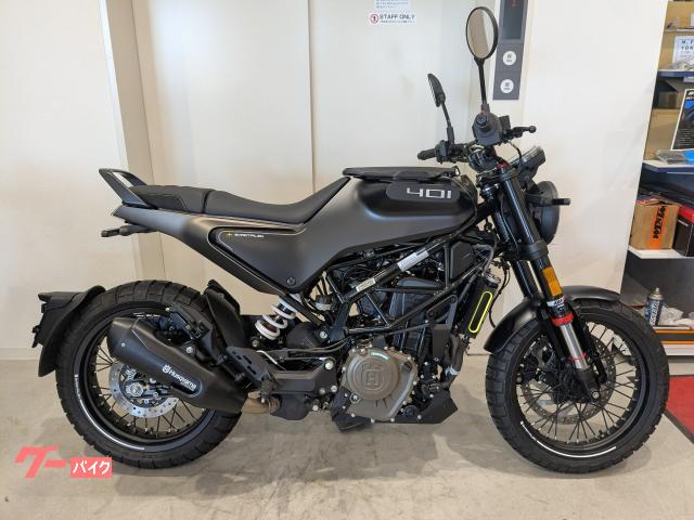 スヴァルトピレン４０１