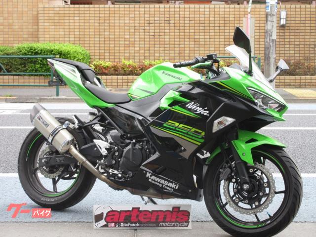Ｎｉｎｊａ　２５０