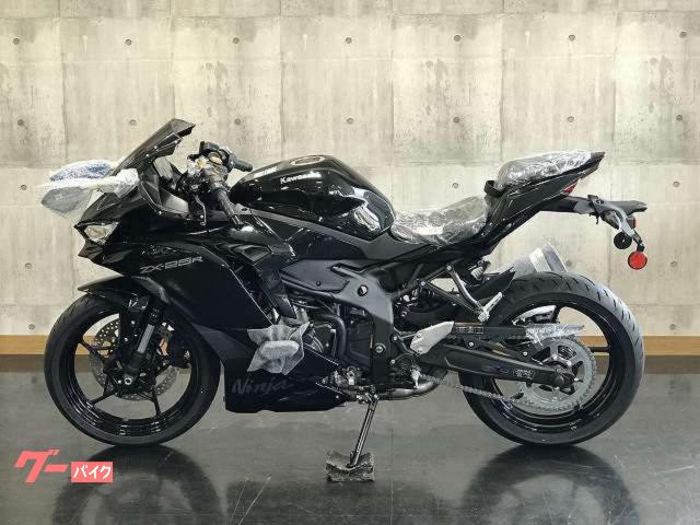 [激レア] 25年以上前　ベビーシリーズ カワサキ Ninja ZX－25R SE 2027年モデル メタリック