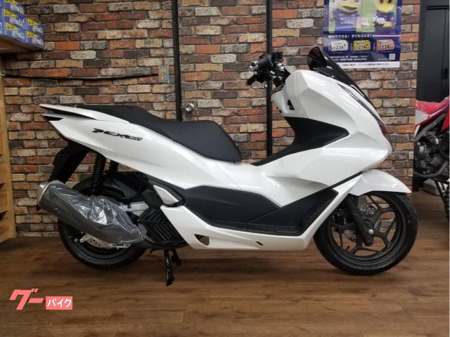 ＰＣＸ１６０　２０２３年モデル