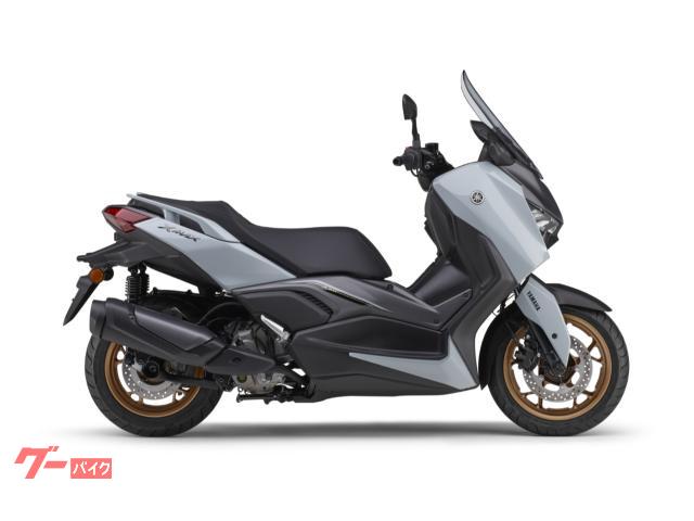 Ｘ−ＭＡＸ２５０　ＡＢＳ　最新モデル