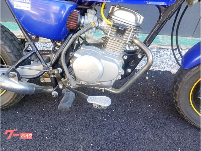 ［商談］エイプ　ボアアップ82cc  カスタム　今月限定即決20万！！ ホンダ Ape ボアアップ 82ccキット組み込み カスタム車｜KGS