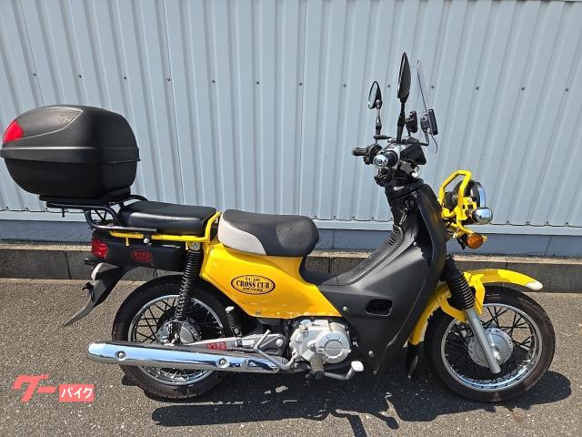 スーパーカブ１１０プロ　タンデムステップ付き