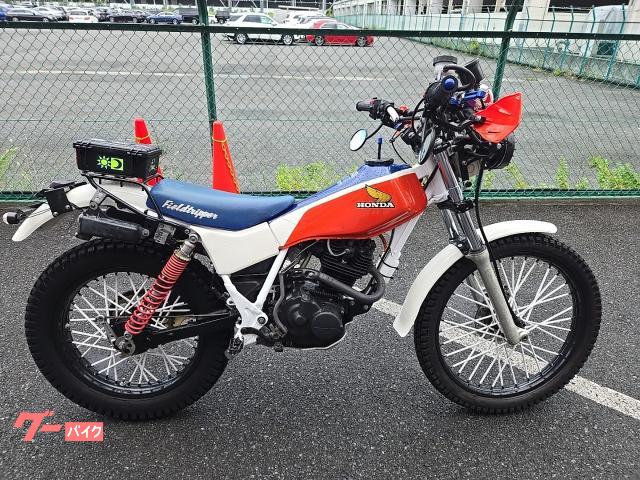 ＴＬ１２５　２００ｃｃフルカスタム