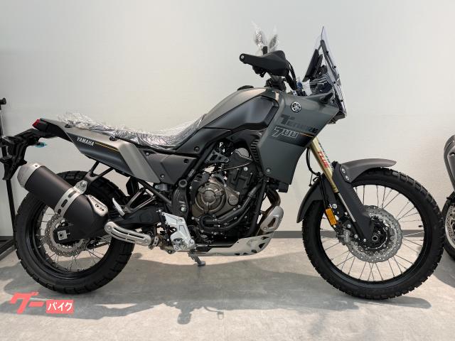 テネレ７００　２０２４年　５０ｍｍローダウン仕様