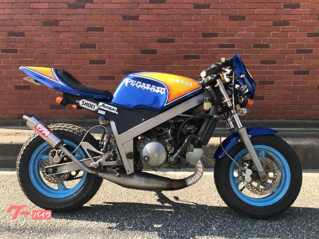 ヤマハ ｔｚｍ５０ｒ 社外チャンバー カスタムペイント セル付き ルーキース 新車 中古バイクなら グーバイク