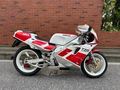 ヤマハ　ＴＺＲ２５０　３ＭＡ　後方排気　タイガステンレスチャンバー　ＡＣＥＷＥＬＬデジタルスピードメーター