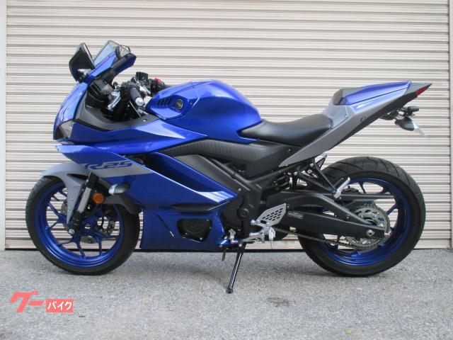 ヤマハ ＹＺＦ－Ｒ２５　ＥＴＣ　前後ドラレコ　アクラポヴィッチ他の画像（東京都