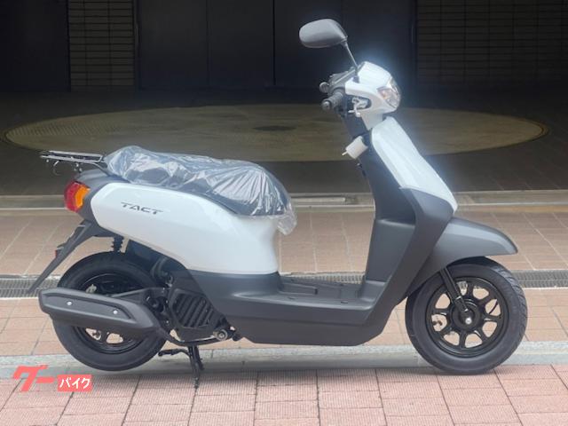 タクト・ベーシック　現行モデル　正規　新車　ホワイト