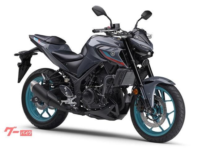ＭＴ−２５　ＡＢＳ　２０２２年モデル　正規　新車　グレー