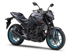 ヤマハ　ＭＴ−２５　２０２２年モデル　正規　新車　パステルダークグレー