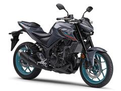 ヤマハ　ＭＴ−２５　ＡＢＳ　２０２２年モデル　正規　新車　グレー