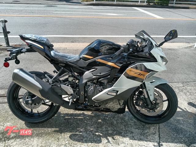 Ｎｉｎｊａ　ＺＸ−４Ｒ　ＳＥ