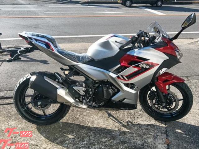 Ｎｉｎｊａ　２５０