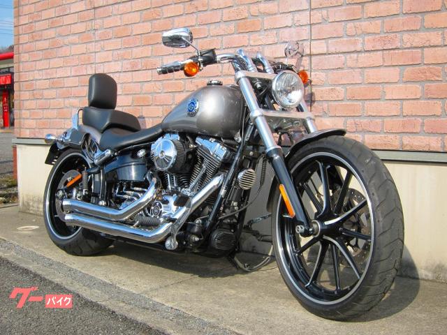 ＨＡＲＬＥＹ－ＤＡＶＩＤＳＯＮ ＦＸＳＢ ブレイクアウト ドラッグ 