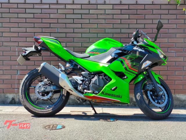 Ｎｉｎｊａ　２５０　２０２３年モデル　レンタル卸低走行車