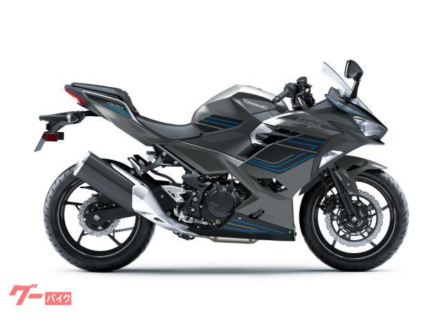 Ｎｉｎｊａ　４００