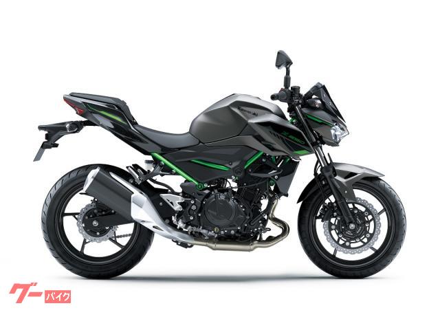 Ｚ２５０