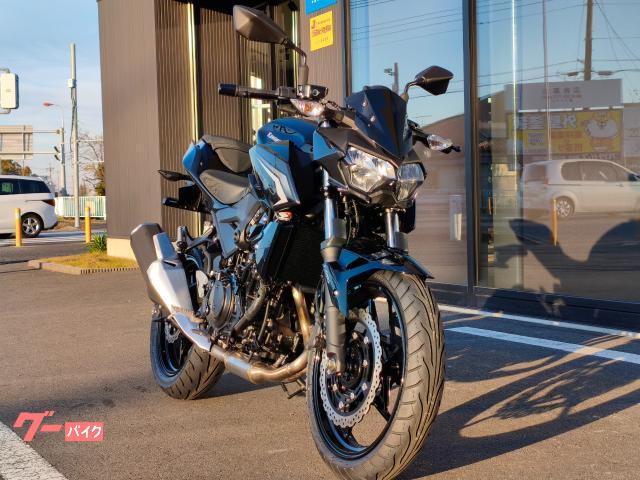 カワサキ Z250 エボニー メタリックカーボングレー｜カワサキ
