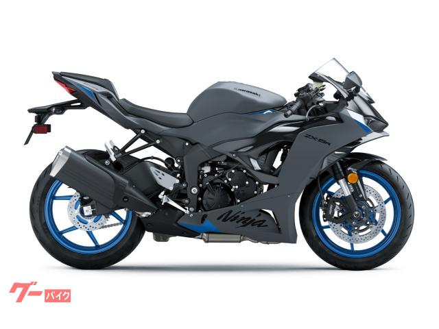 Ｎｉｎｊａ　ＺＸ−６Ｒ　メタリックマットダークグレー　×　エボニー
