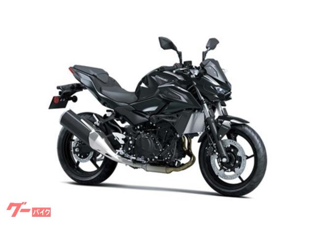 Ｚ５００　エボニー　＆　メタリックカーボングレー