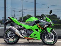 カワサキ　Ｎｉｎｊａ　２５０　ＫＲＴ　ＥＤＩＴＩＯＮ　２０２４年モデル
