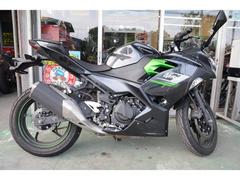 カワサキ　Ｎｉｎｊａ　２５０　ノーマル車