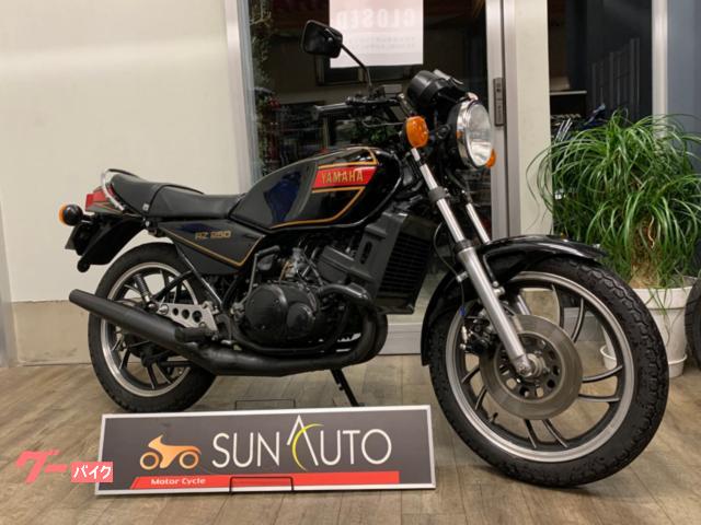 ＲＺ２５０　４Ｌ３　ブラック　ノーマル