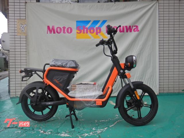 ＰＥＶ６００