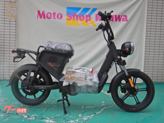 ＰＥＶ６００