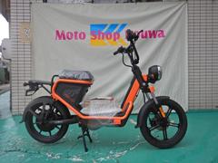 プロト　ＰＥＶ６００