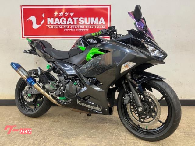 Ｎｉｎｊａ　４００　２０１９年モデル　別体型ＥＴＣ付き　カスタム多数