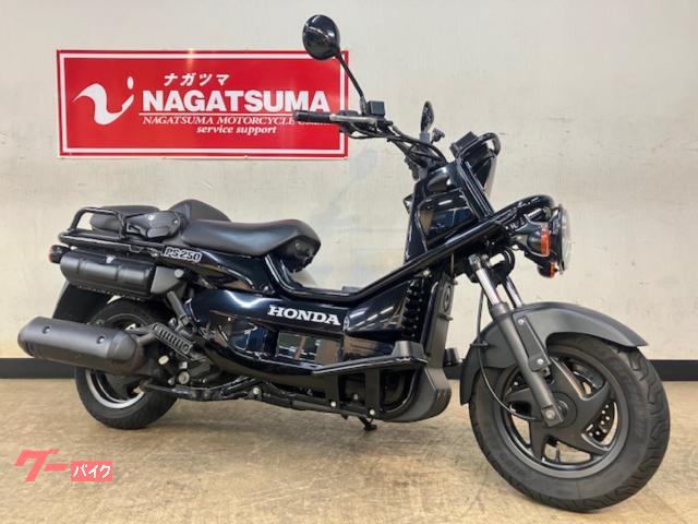 ホンダPS250後期ヘッドライト ホンダ PS250 2006年モデル 後期型 2灯ヘッドライト