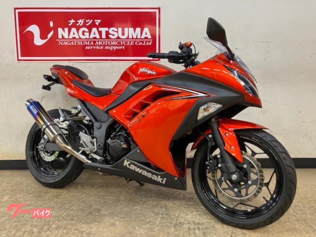 Ｎｉｎｊａ　２５０　２０１６年モデル　ワンオーナー車　別体型ＥＴＣ・ＷＲ’Ｓ製マフラー付き