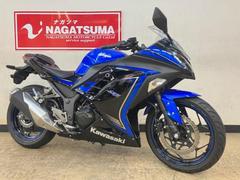 カワサキ　Ｎｉｎｊａ　２５０　２０１５年モデル　スペシャルエディション　別体型ＥＴＣ付き　ローダウン仕様