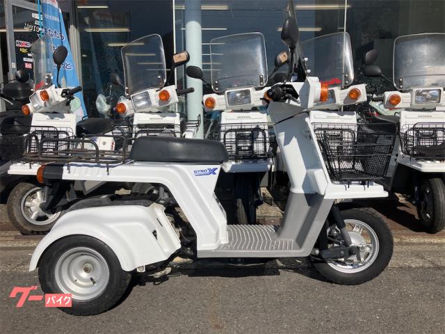 ジャイロＸスタンダード　グリップヒーター　ＴＤ０２