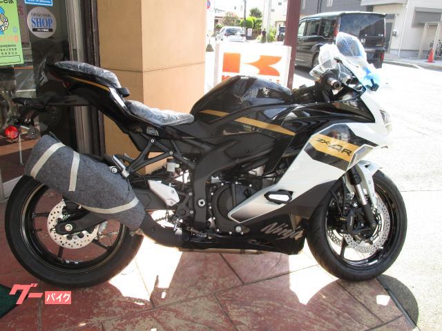 Ｎｉｎｊａ　ＺＸ−４Ｒ　ＳＥ