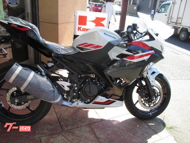 Ｎｉｎｊａ　２５０