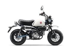ホンダ　ホンダ　モンキー１２５　パールカデットグレー　８ＢＪ−ＪＢ０５　２０２５年国内正規最新モデル　自賠責１年付