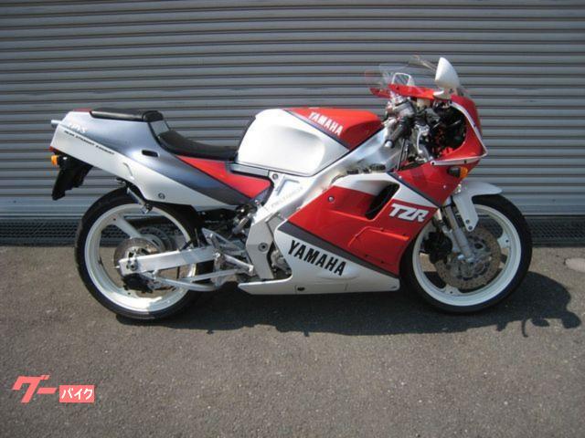 ＴＺＲ２５０